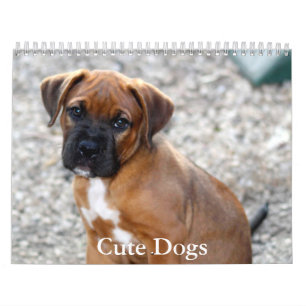Calendrier de chiens mignons