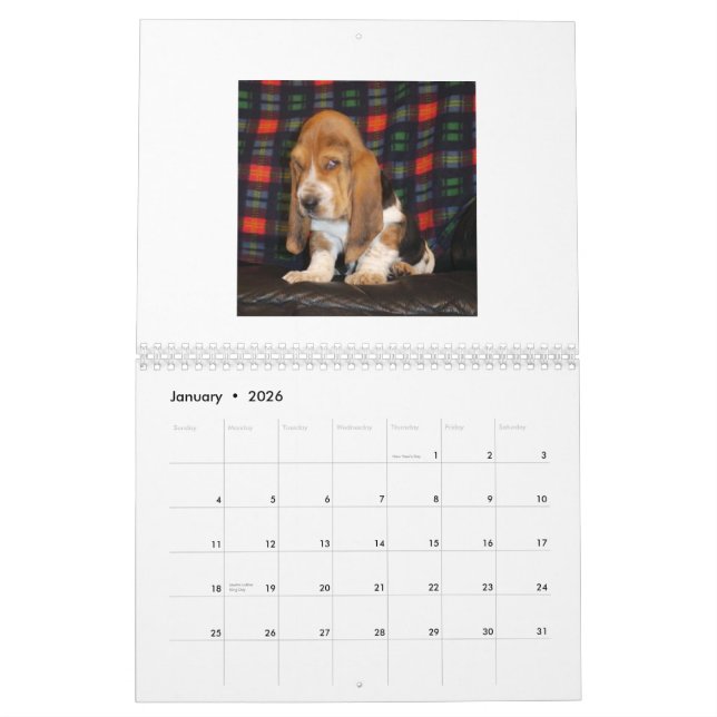 Calendrier de chiot de Basset Hound (Jan 2026)