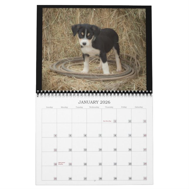 Calendrier de chiots de ferme (Jan 2026)