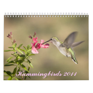 Calendrier de colibri