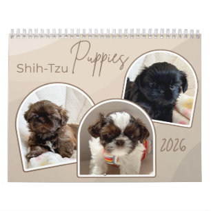 Calendrier de Collage de Photos de Chiots Shih-Tzu