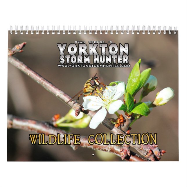 Calendrier de collection de photographie de faune (Protection)