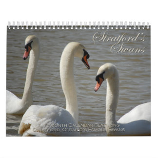 Calendrier de cygnes de Stratford