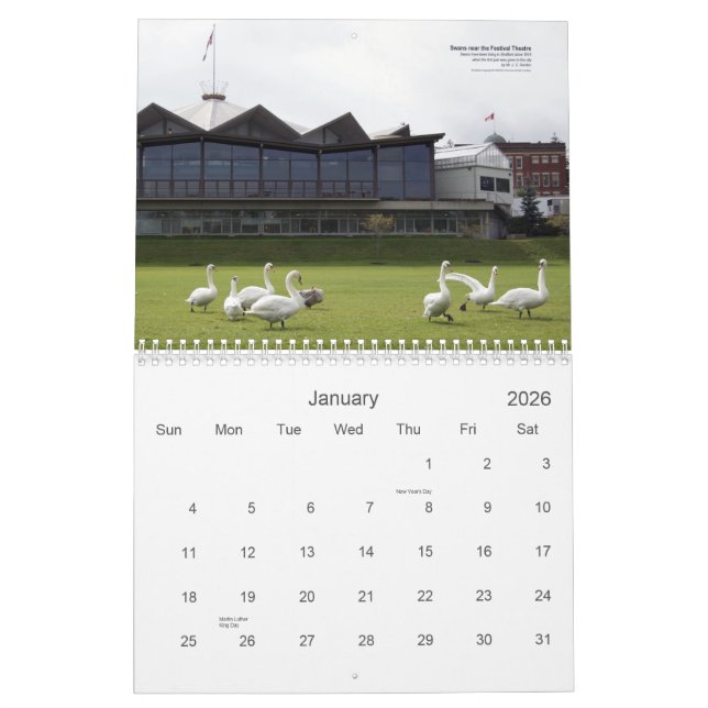 Calendrier de cygnes de Stratford (Jan 2026)
