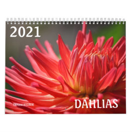 CALENDRIER DE DAHLIA 2021