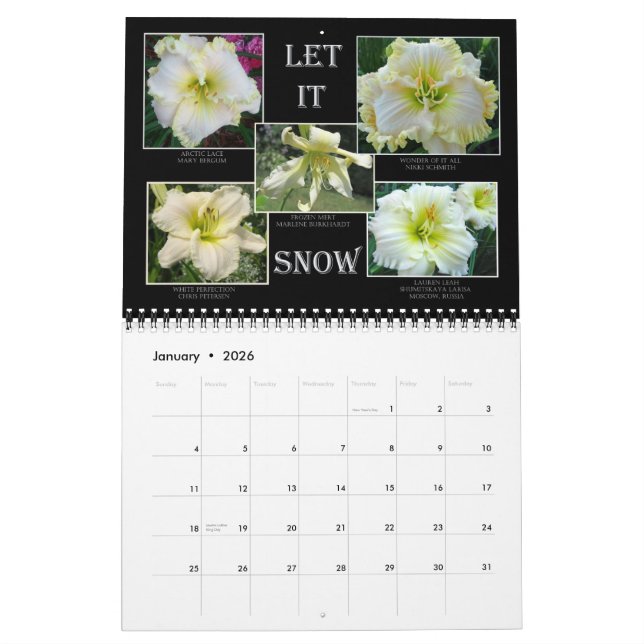 Calendrier de Daylily de 2014 AHS (Jan 2026)