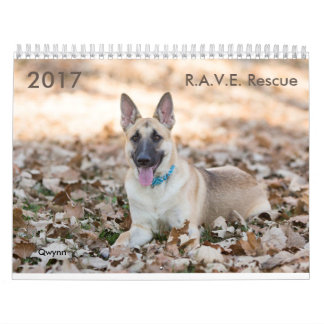 Calendrier de délivrance de 2017 R.A.V.E.