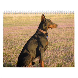 Calendrier de dobermann