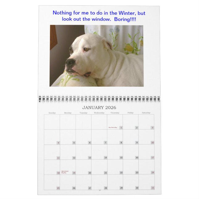 Calendrier de Dogo (Jan 2026)