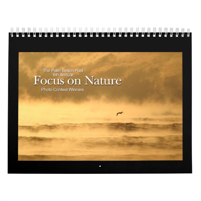 calendrier de douze mois de gagnants (Protection)