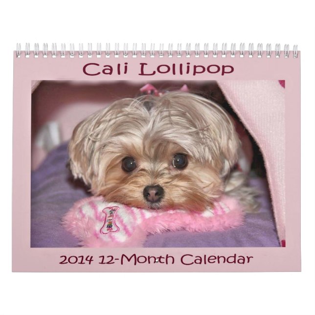 Calendrier de douze mois de la lucette 2014 de (Protection)