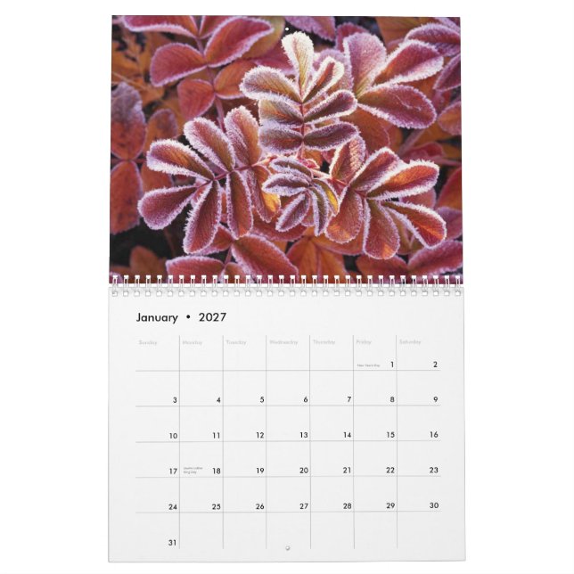 Calendrier de faune (Jan 2027)