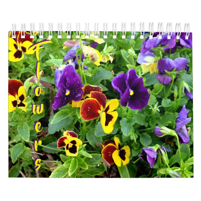 calendrier de fleur de 18 mois (Protection)