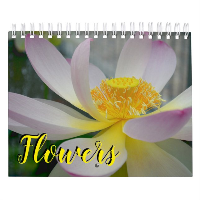 calendrier de fleur de 18 mois (Protection)