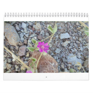 calendrier de fleur sauvage