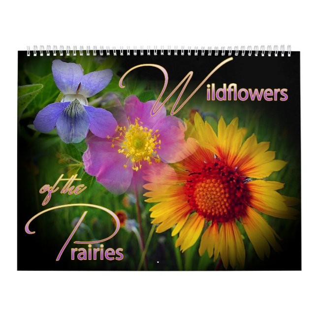 Calendrier de fleur sauvage de prairie (Protection)