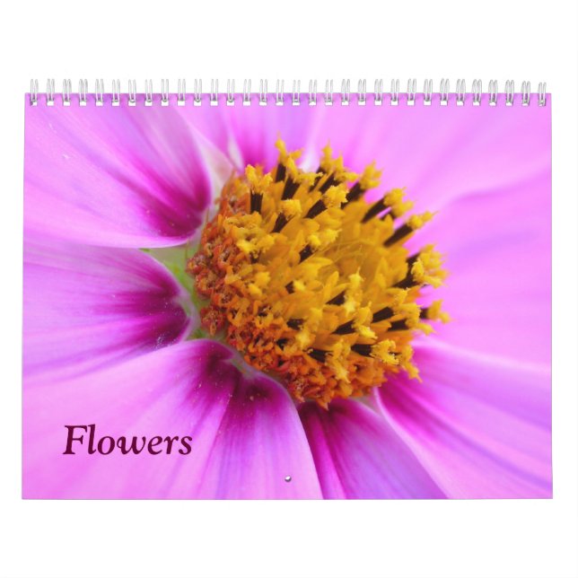 Calendrier de fleurs (Protection)