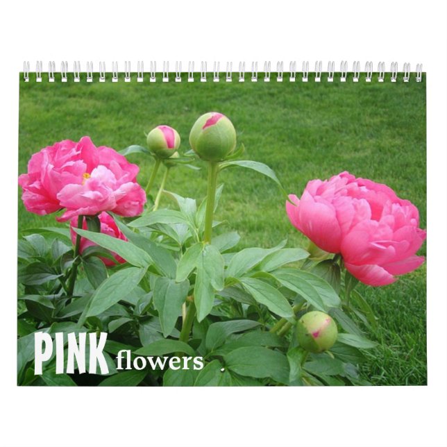Calendrier de fleurs roses (Protection)