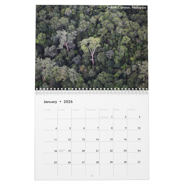 Calendrier de forêt tropicale du Bornéo (Jan 2026)