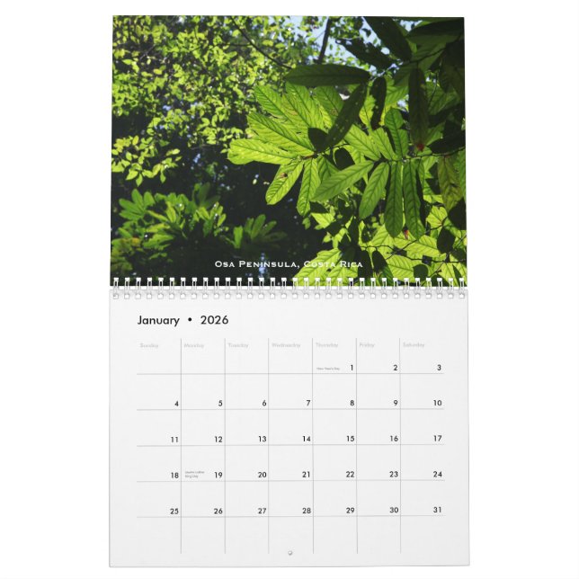 Calendrier de forêts tropicales (Jan 2026)