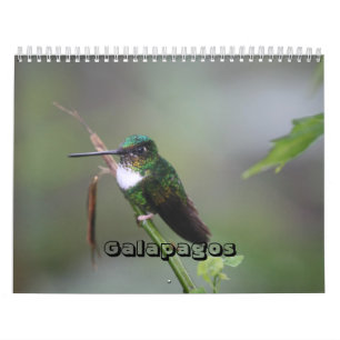 Calendrier de Galapagos