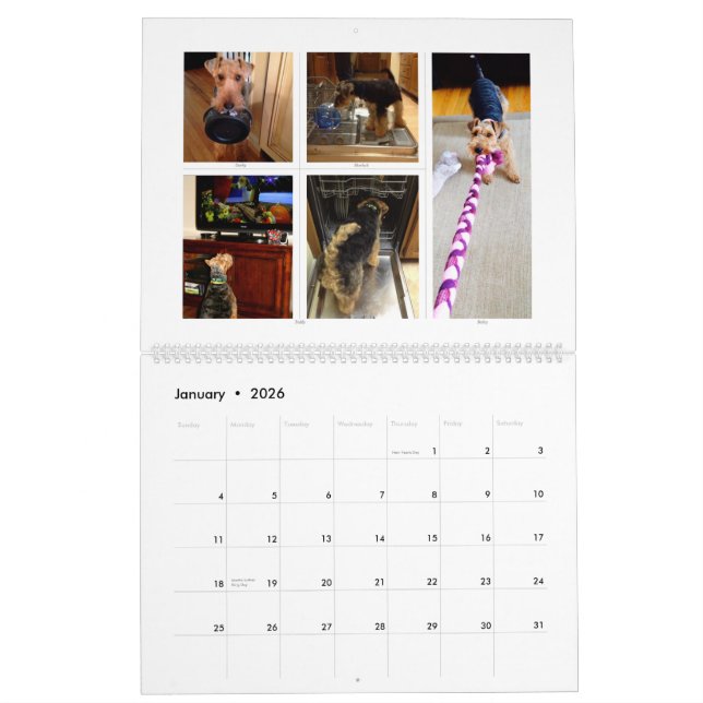 Calendrier de gallois Terrier 2015 par SBWT (Jan 2026)