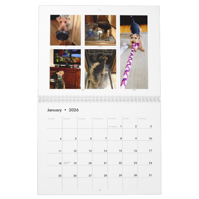 Calendrier de gallois Terrier 2015 par SBWT (Jan 2026)