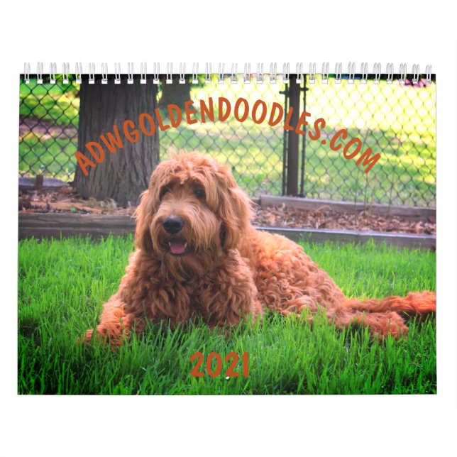 Calendrier de Goldendoodle (Protection)