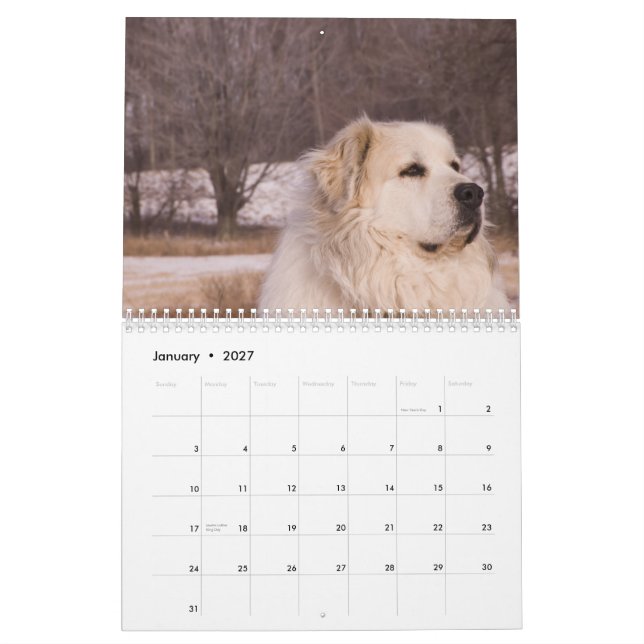 Calendrier de Grands Pyrénées (Jan 2027)