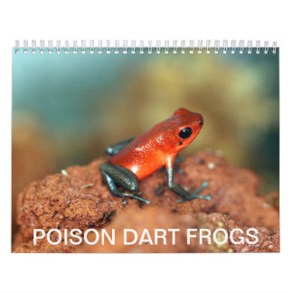 Calendrier de grenouilles de dard de poison