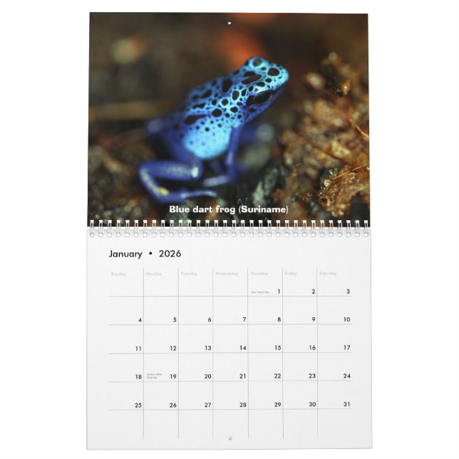 Calendrier de grenouilles de dard de poison (Jan 2026)