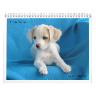Calendrier De Harlan aux mains sûres