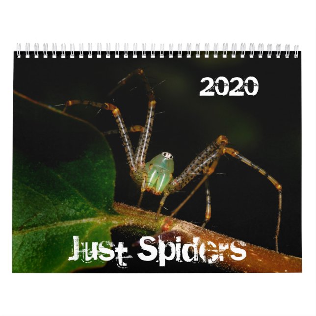 Calendrier de Just Spiders, 2020 (Protection)