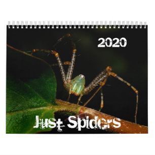 Calendrier de Just Spiders, 2020
