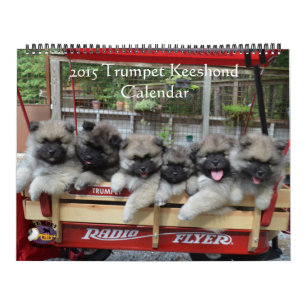 Calendrier de Keeshond de trompette
