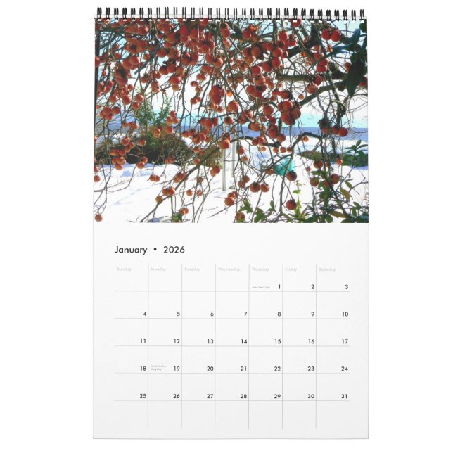 Calendrier de la campagne japonaise (Jan 2026)
