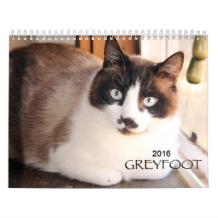 Calendrier de la délivrance 2016 de chat de