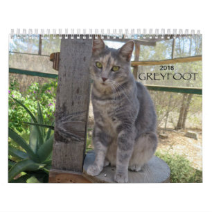 Calendrier de la délivrance 2018 de chat de
