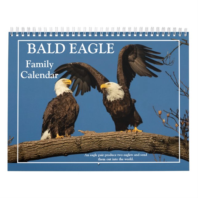 Calendrier de la famille de l'aigle à tête blanche (Protection)