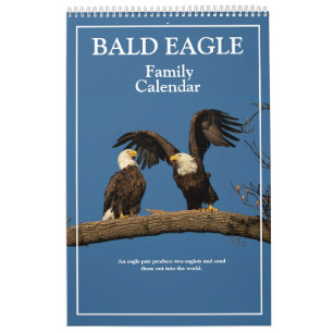 Calendrier de la famille de l'aigle à tête blanche