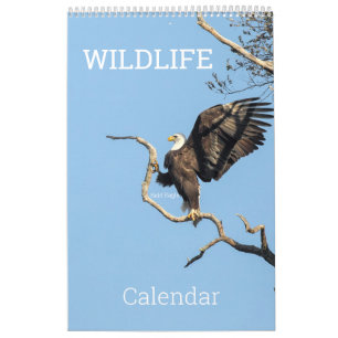 Calendrier de la faune