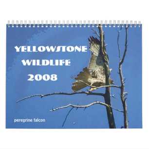 Calendrier de la faune 2008 de Yellowstone