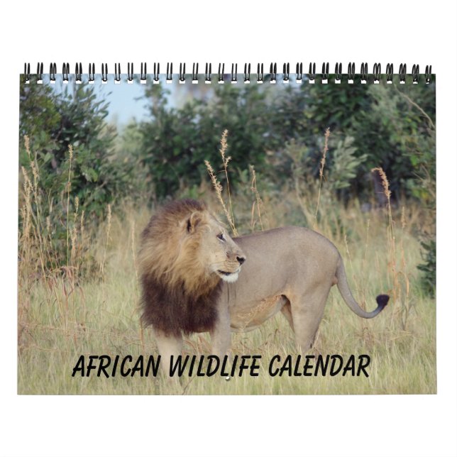 CALENDRIER DE LA FAUNE AFRICAINE (Protection)