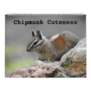 Calendrier de la faune, animaux sauvages, Chipmunk