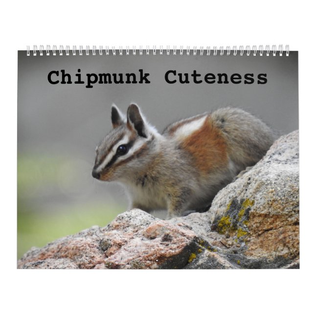 Calendrier de la faune, animaux sauvages, Chipmunk (Protection)