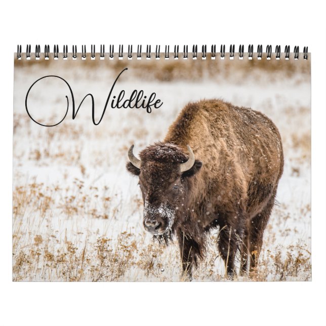 Calendrier de la faune avec légendes (Protection)