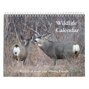 Calendrier de la faune C13