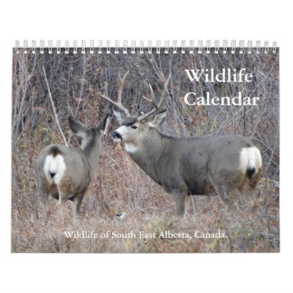Calendrier de la faune C13