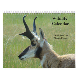 Calendrier de la faune C14