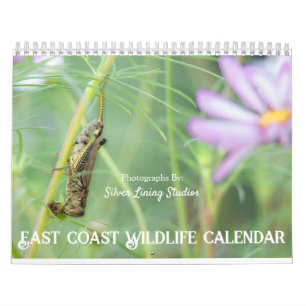 Calendrier de la faune de la côte Est